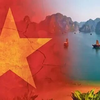 Xu hướng Loài cá kỳ lạ nhất châu Phi:: Hotspot Matrix tiết lộ bí quyết video viral