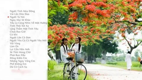 Chuyên gia Hotspot Matrix phân tích: Kim Tae Hee Việt Nam 2K2 và marketing video